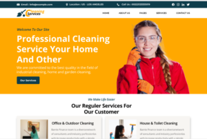 Handyman Cleaning Service