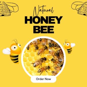 Yellow Clean Honey Bee Instagram Post